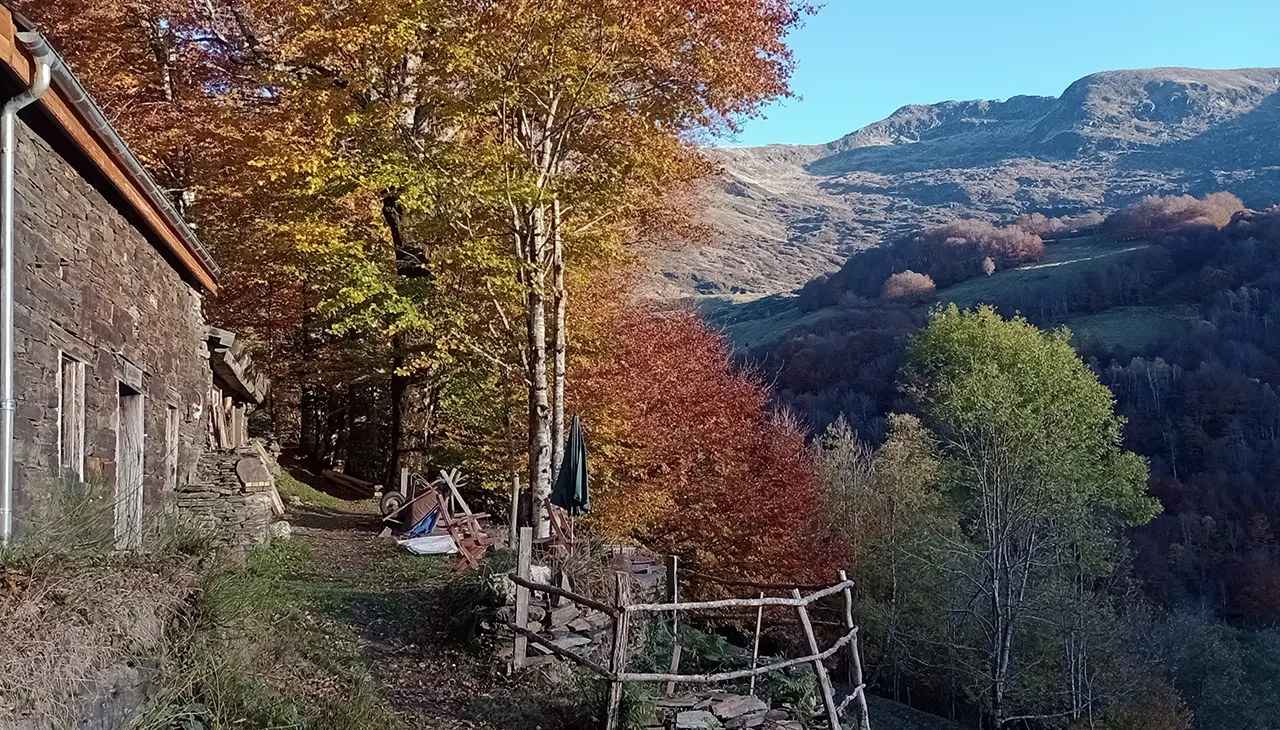 Herfst