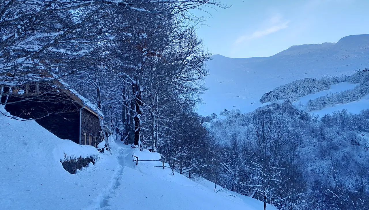 Winter