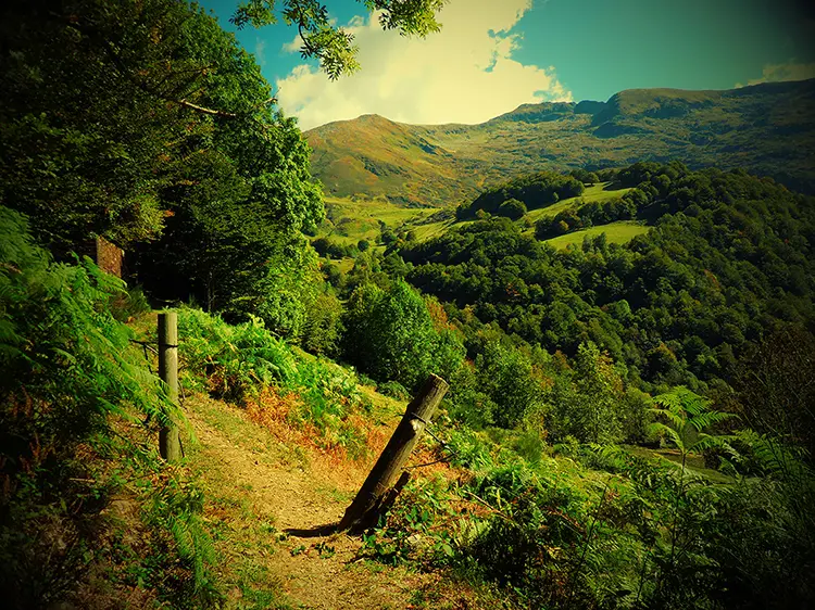 Cocabane - Omgeving